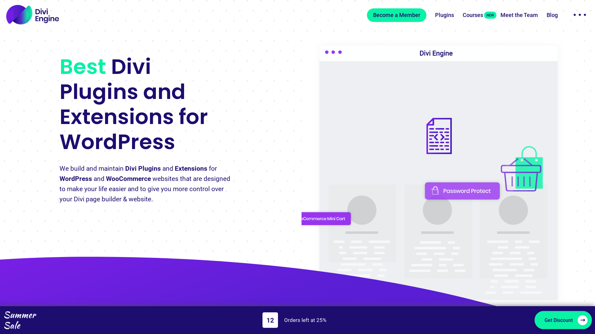 Screenshot of divi website