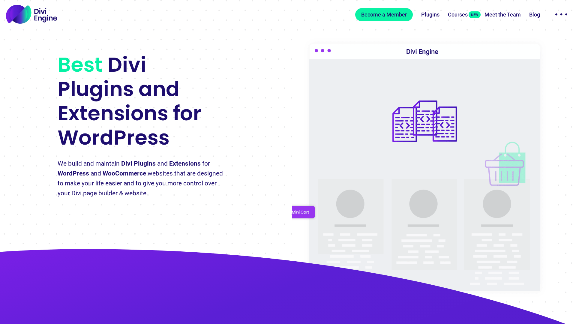 Screenshot of divi website