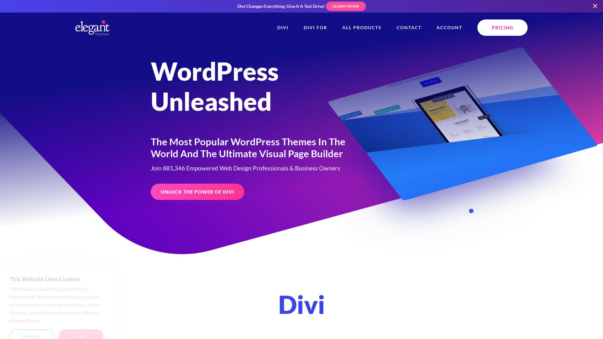 Screenshot of divi website
